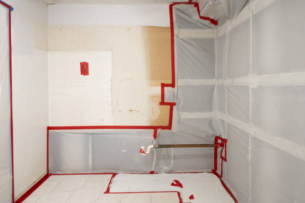 Best Airborne Mold Testing  in Mount Plymouth, FL