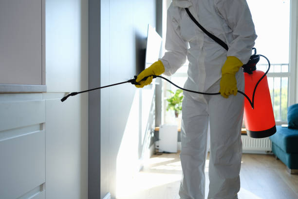 Best Forensic Mold Investigation  in Mount Plymouth, FL