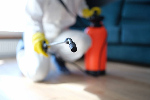 Best Environmental Consulting for Mold Prevention  in Mount Plymouth, FL