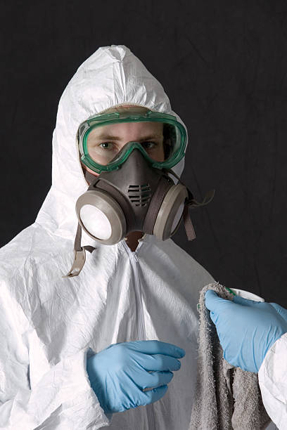  Mount Plymouth, FL Mold Removal Pros